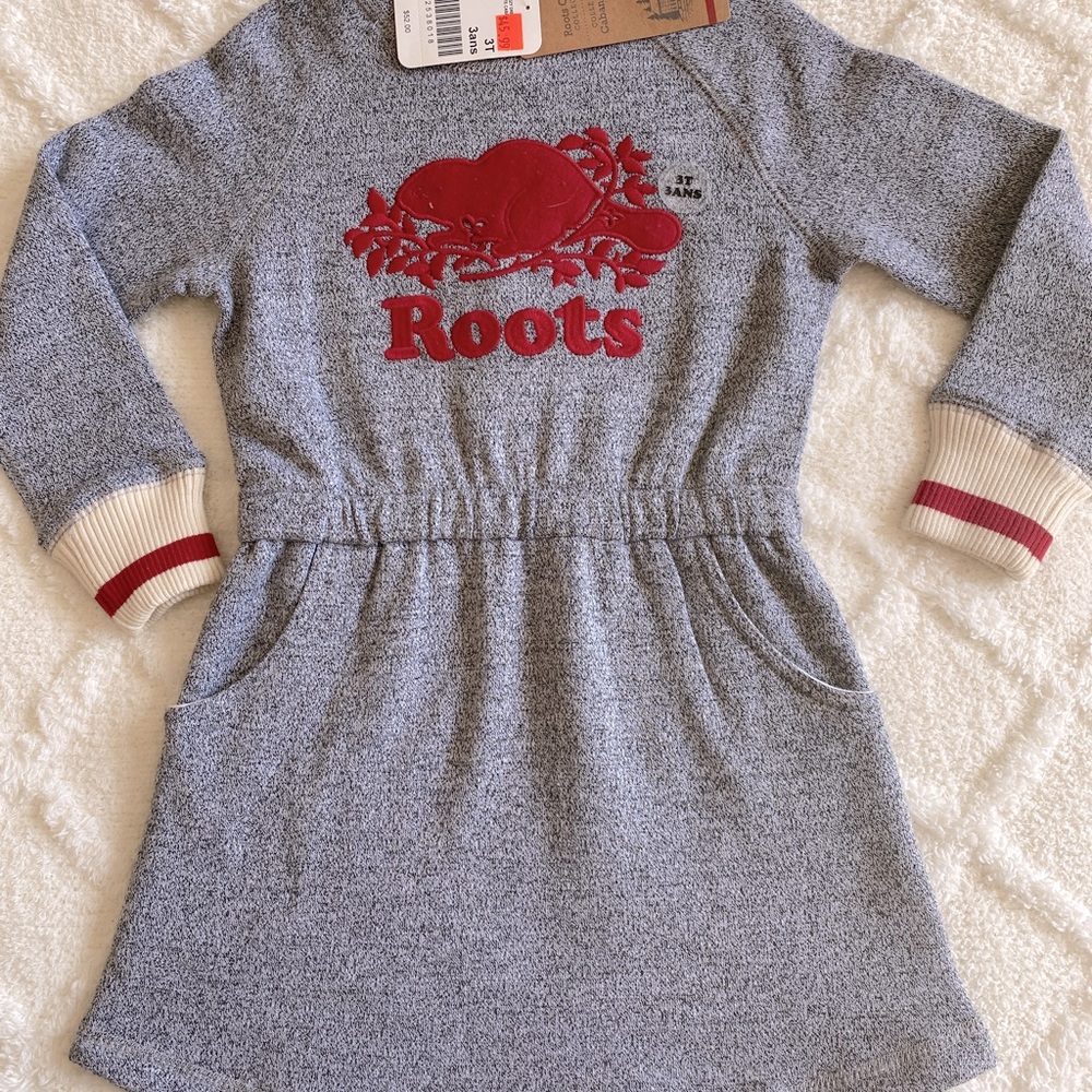 NWT Roots long sleeve sweater dress w/pockets. Great casual item & very soft!